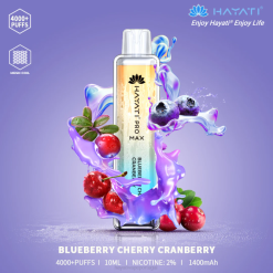 Hayati Pro Max descartável - JR6H97 Hayati Flavour Vapes mirtilo cereja cranberry